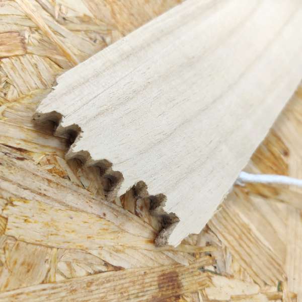 Targhette in Legno Country Chic – Decorazioni per Bomboniere, Tableau e Fai da Te